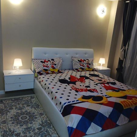 Myky Mouse Nu Primesc Santieristi Si Petrecareti Διαμέρισμα Βουκουρέστι Εξωτερικό φωτογραφία