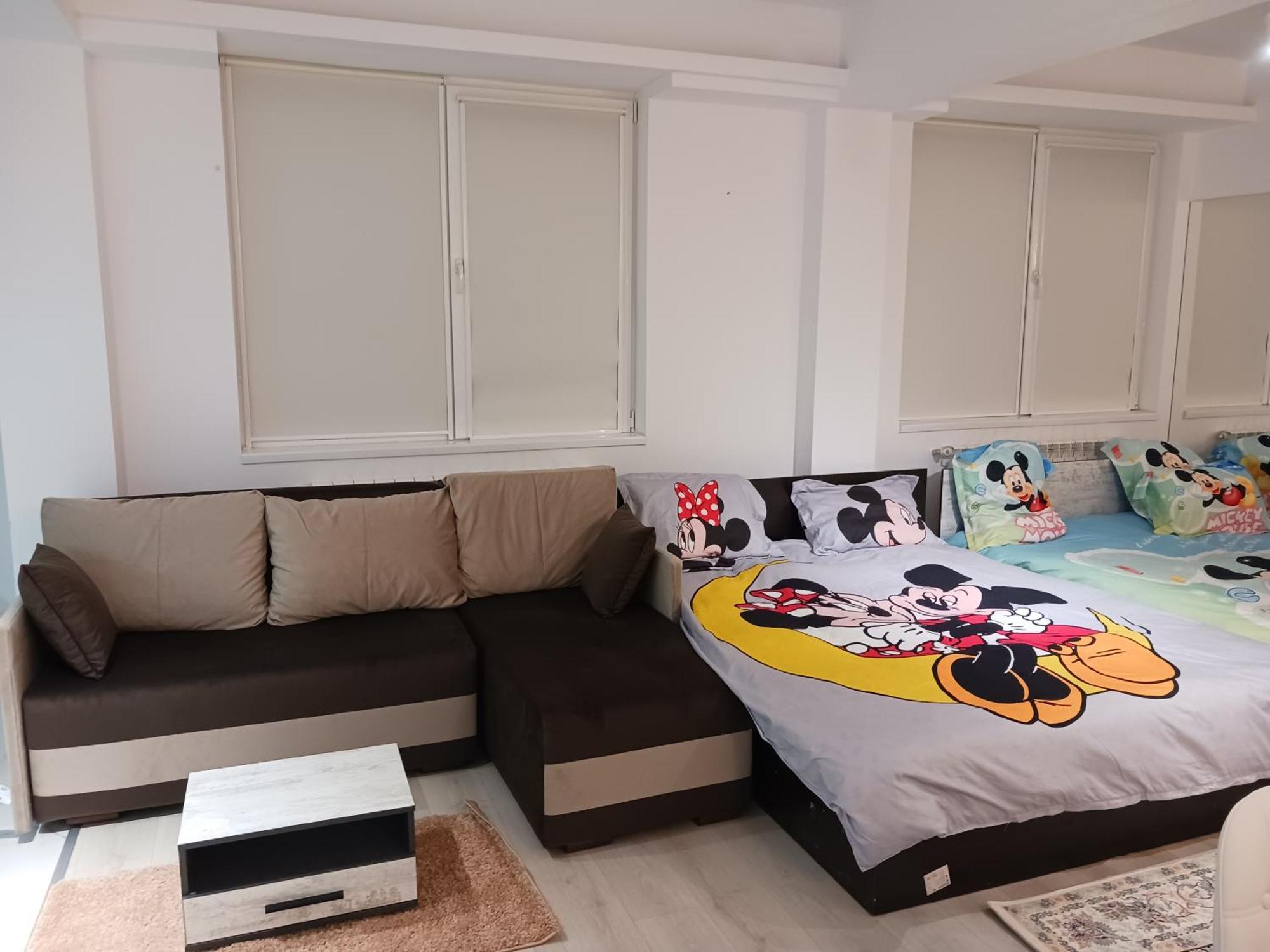 Myky Mouse Nu Primesc Santieristi Si Petrecareti Διαμέρισμα Βουκουρέστι Εξωτερικό φωτογραφία