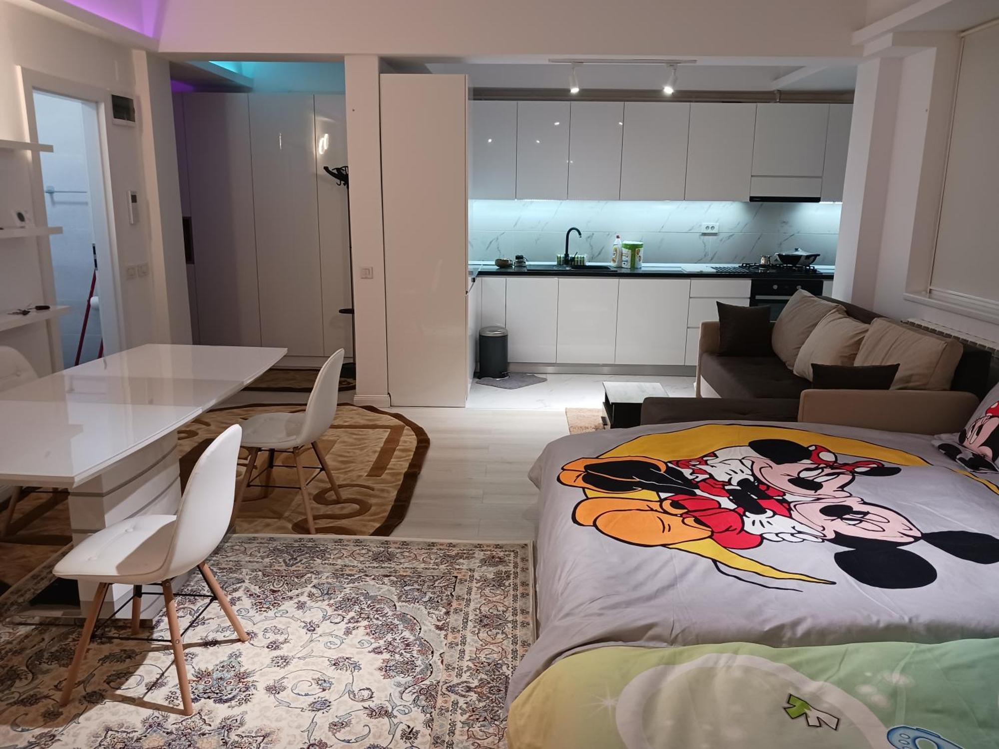 Myky Mouse Nu Primesc Santieristi Si Petrecareti Διαμέρισμα Βουκουρέστι Εξωτερικό φωτογραφία